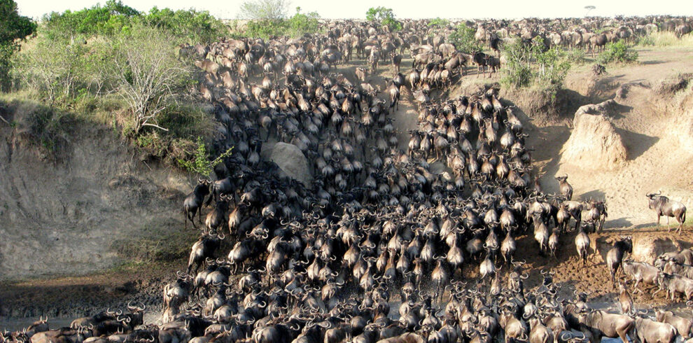 Maasai-Mara-National-Reserve