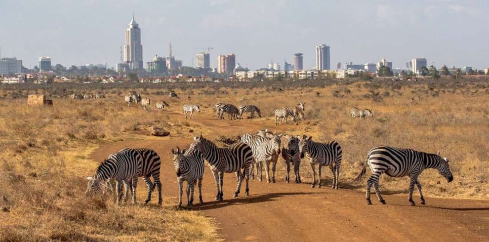 Nairobi-National-Park-destination