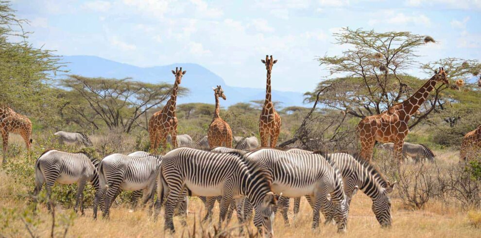 Samburu-National-Park